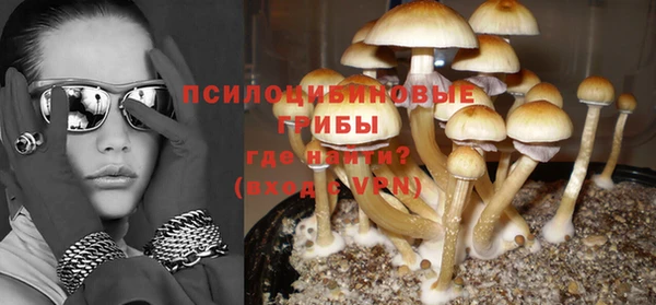 ПСИЛОЦИБИНОВЫЕ ГРИБЫ Волоколамск