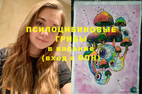 ПСИЛОЦИБИНОВЫЕ ГРИБЫ Волоколамск