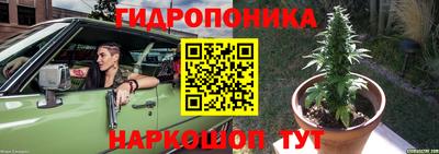 дурь Гусев