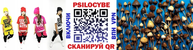 блэк спрут сайт  Волгодонск  Галлюциногенные грибы мицелий 