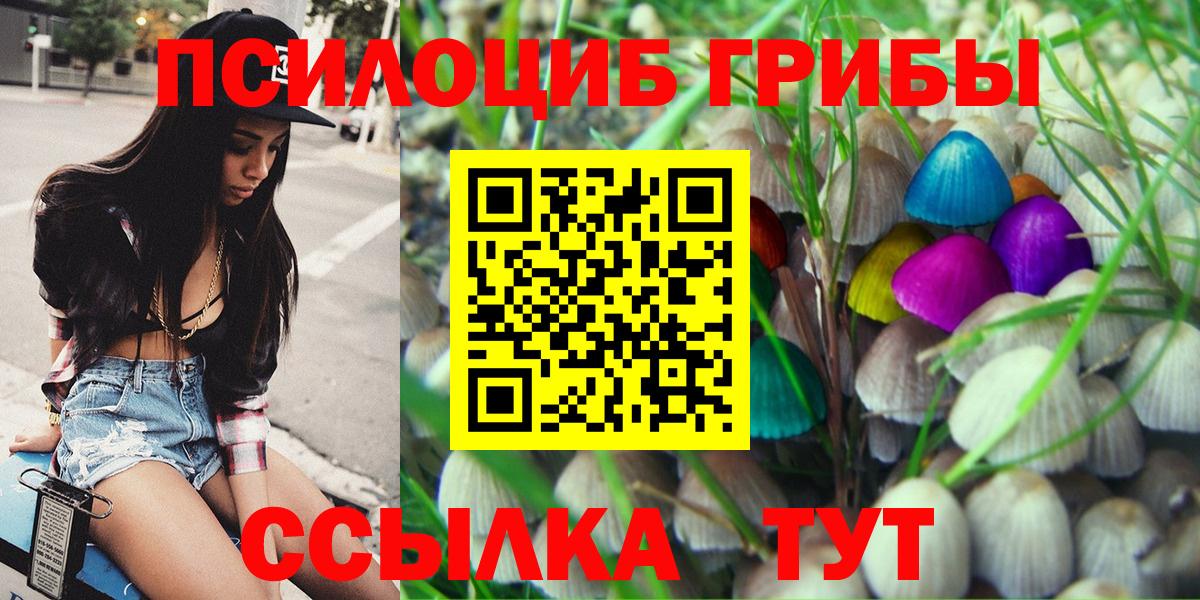 Псилоцибиновые грибы ЛСД Волгодонск