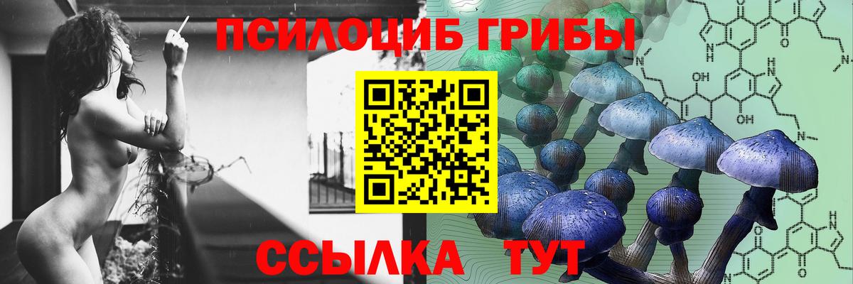 Волгодонск  Псилоцибиновые грибы ЛСД  Псилоцибиновые грибы MAGIC MUSHROOMS  хочу   Вход с VPN 