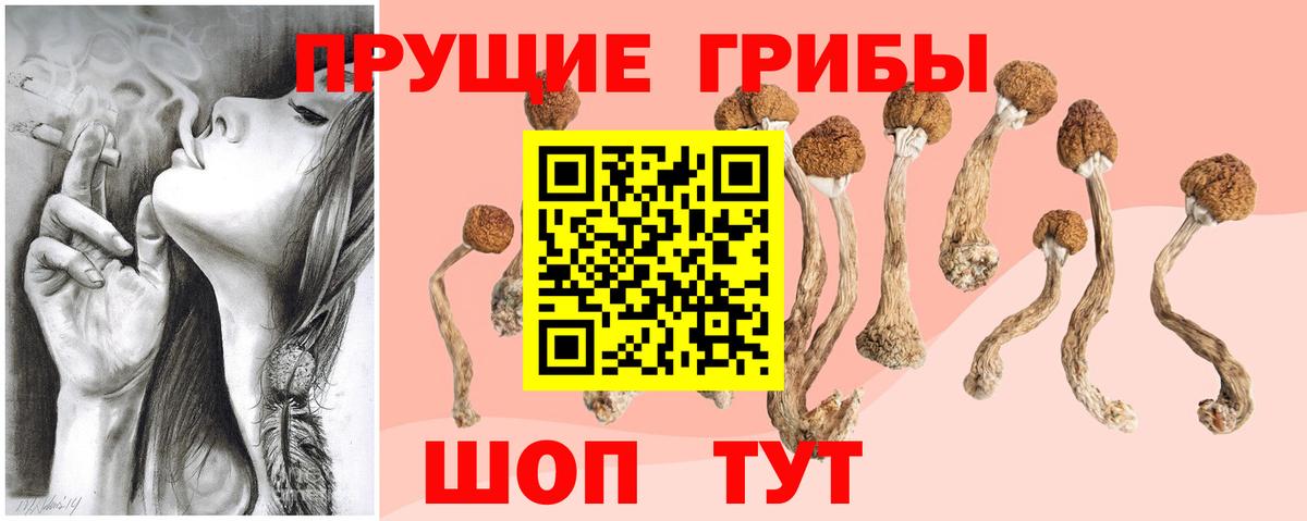 Псилоцибиновые грибы MAGIC MUSHROOMS  Галлюциногенные грибы мухоморы  Волгодонск 