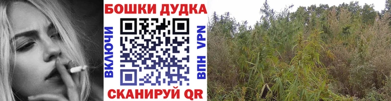 kraken ССЫЛКА  Волгодонск  Бошки Шишки конопля  купить наркоту 